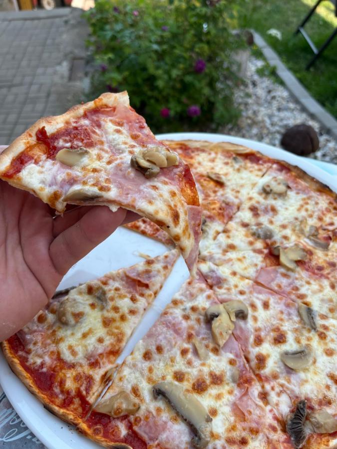 H@M Penzion Žlutice エクステリア 写真